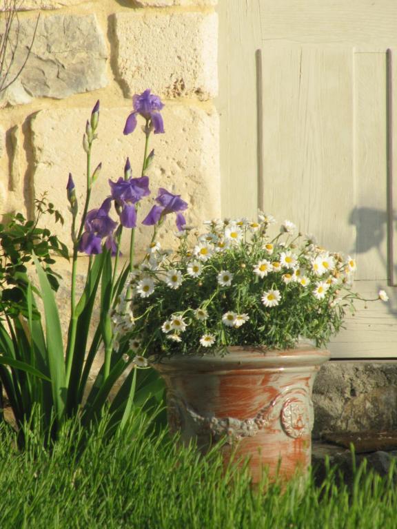 La Flor Azul Bed & Breakfast Grospierres Bagian luar foto