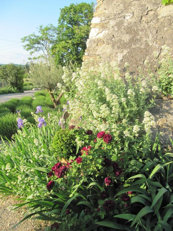 La Flor Azul Bed & Breakfast Grospierres Bagian luar foto